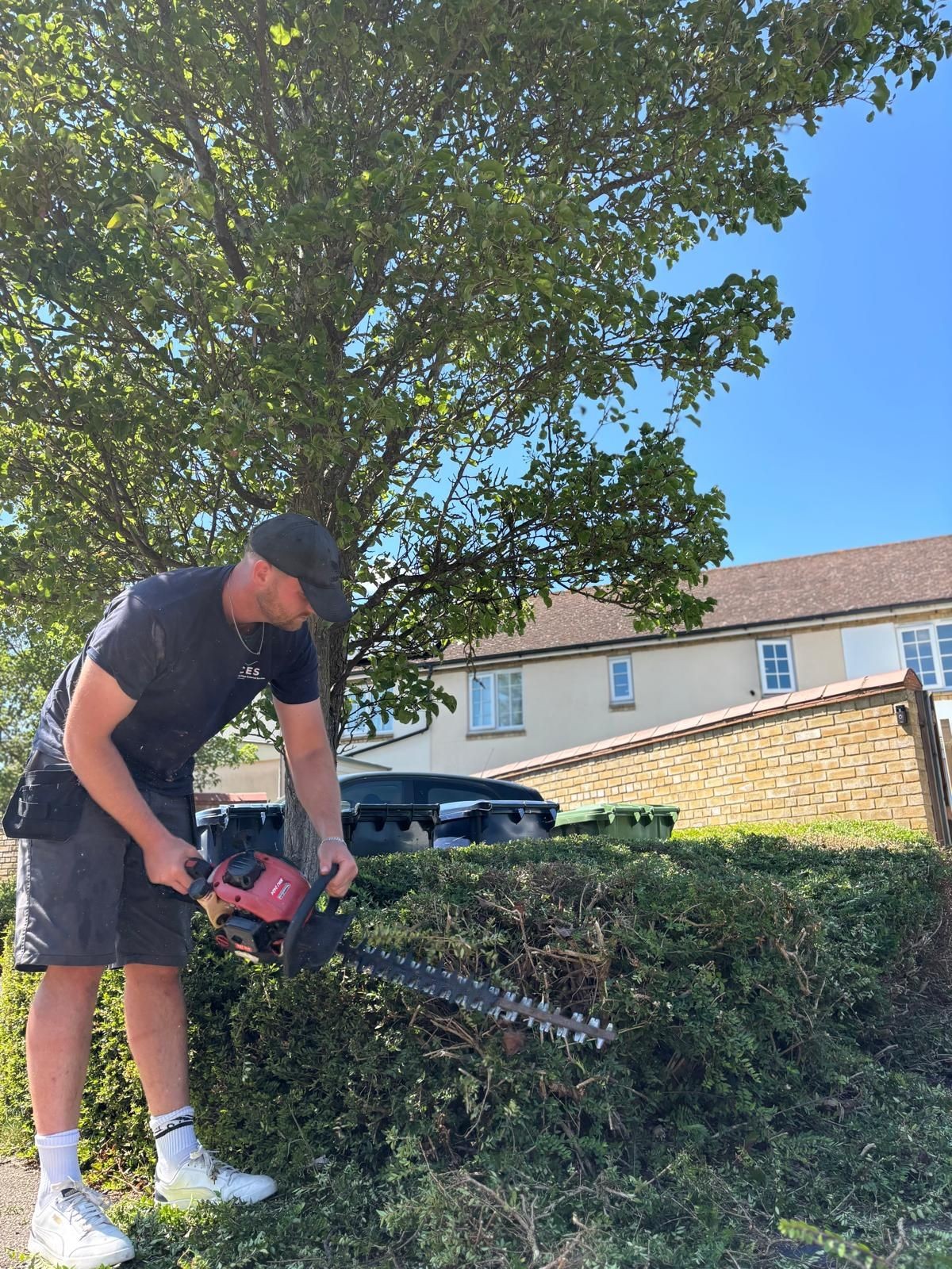 Garden Maintenance